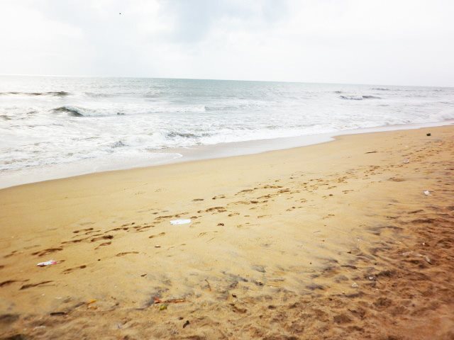 Негомбо: Beach Monkey@Colombo Airport Negombo