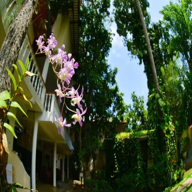 Унаватуна: Sea Breeze Guest house