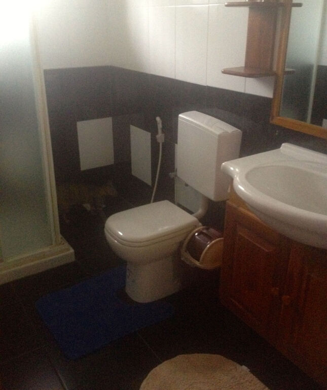 Негомбо: Fire Dragon Guest House