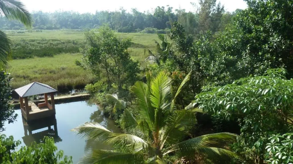 Индурува: Malwatta Hotel Bentota