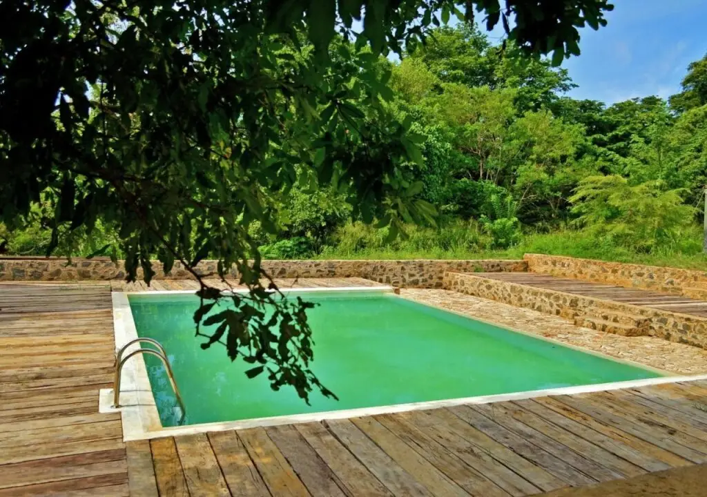 Удавалаве: Wild Trails Udawalawe