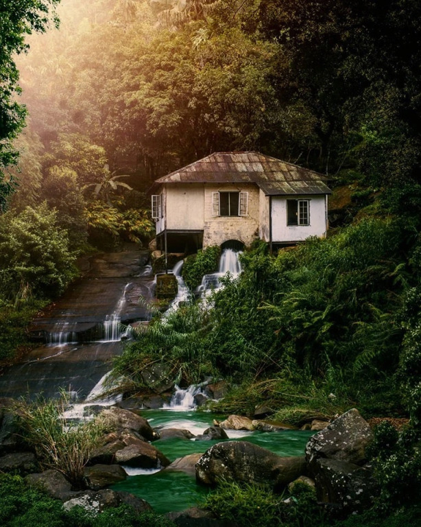 Богаванталава: Отель The Tea Cottage Resort & Spa