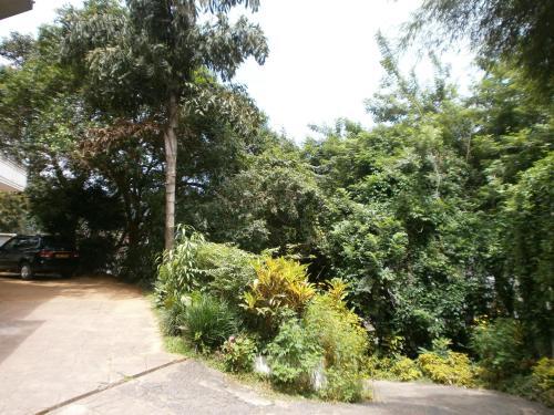 Канди: Hotel Sunny Lanka