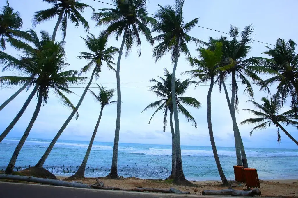 Матара: Turtle Eco Beach Resort