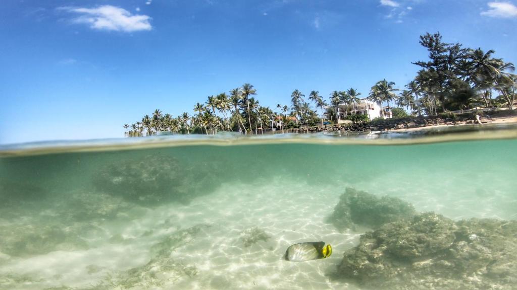 Матара: Turtle Eco Beach Resort