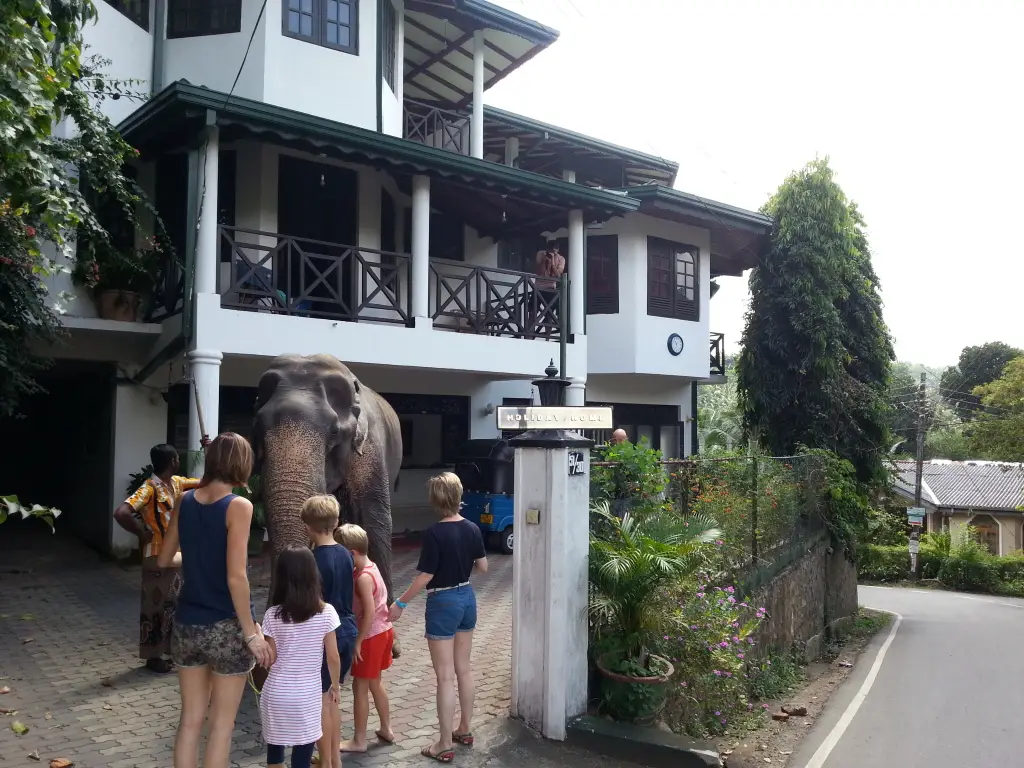 Канди: Гостевой дом Kandy Holiday Home