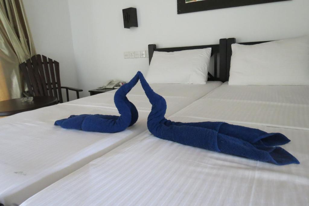 Хиккадува: Scandinavia Hotel