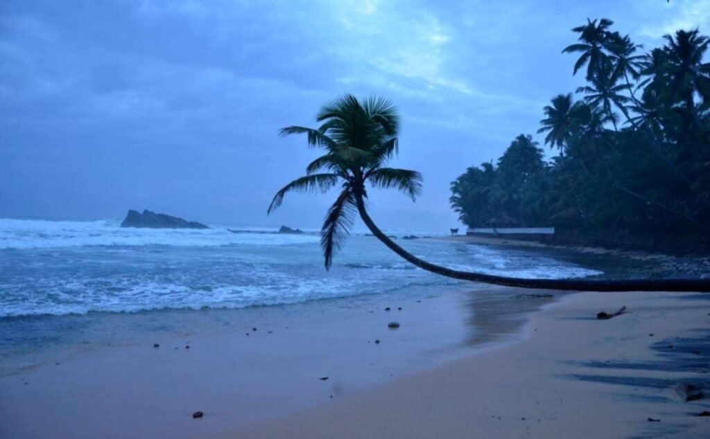 Тальпе: Greenery Lanka