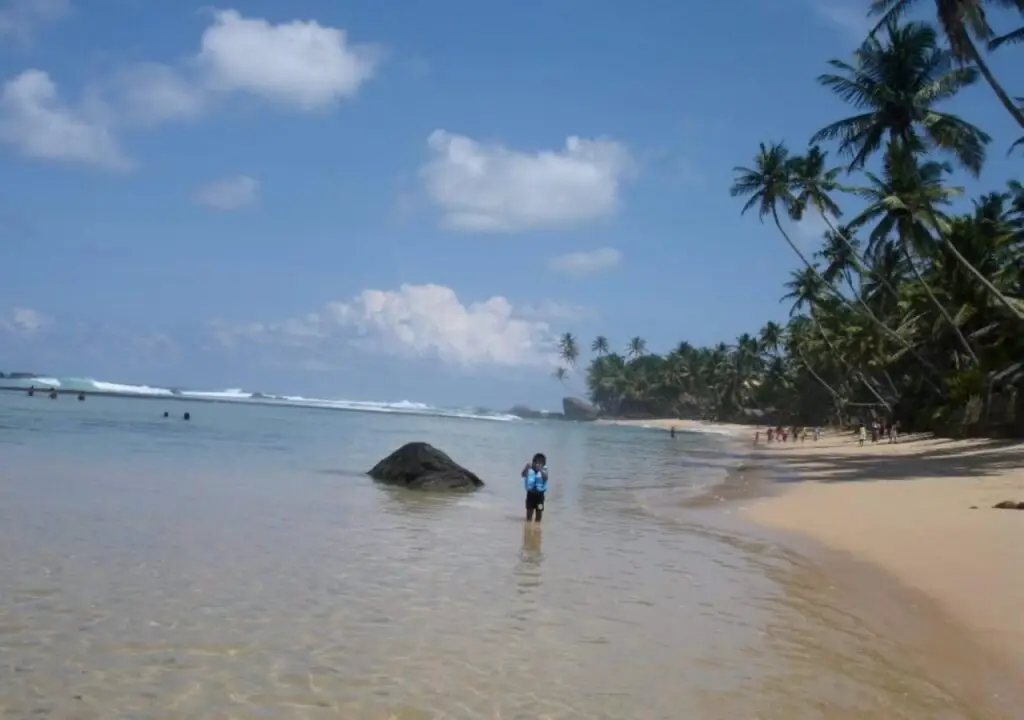 Тальпе: Greenery Lanka