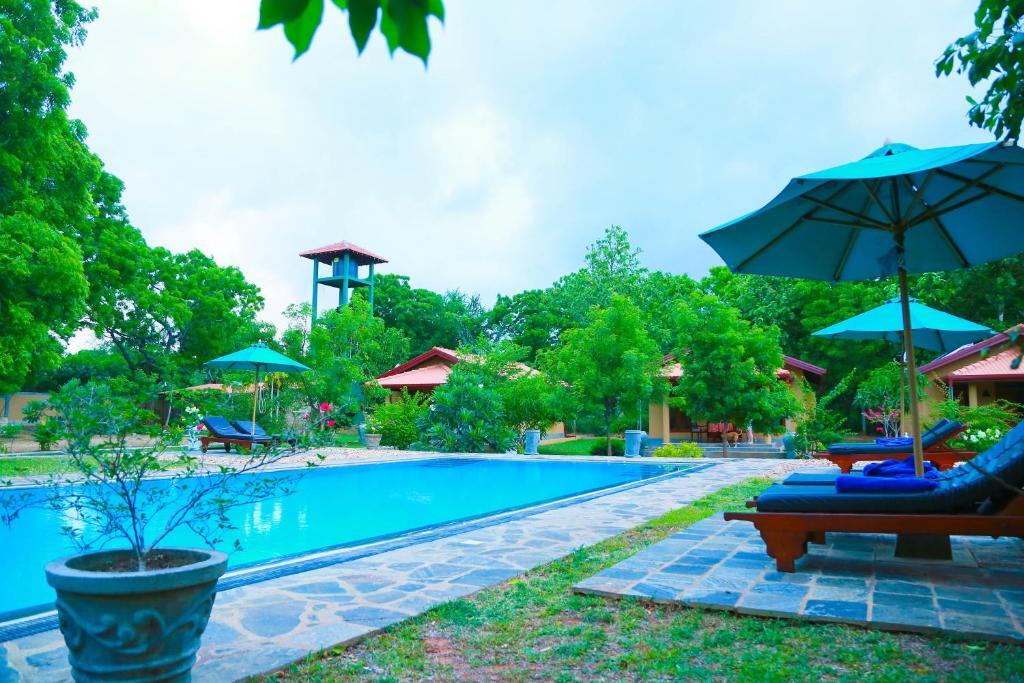 Тиссамахарама: Shangri-Lanka Village