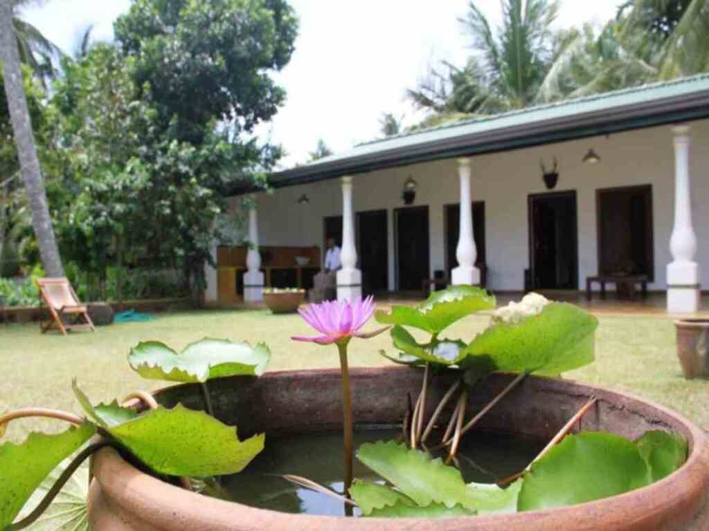 Поломмарува: Mahawewa Nature Resort