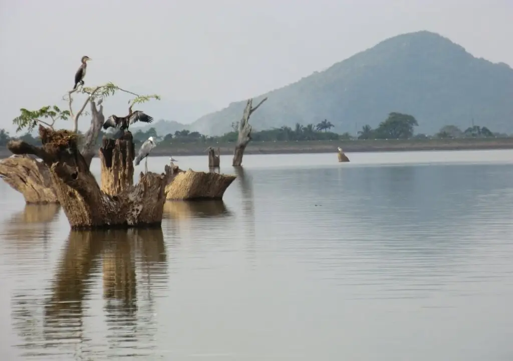 Дамбулла: Suwanila Rest