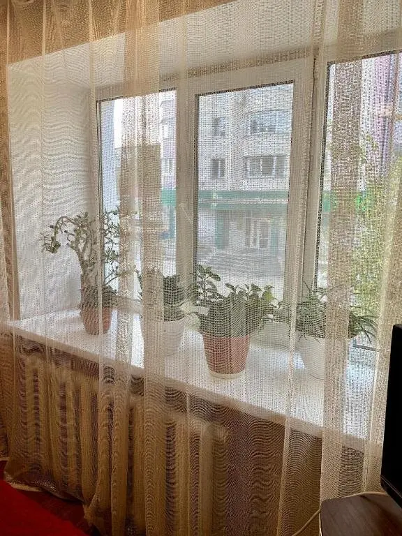 Хабаровск: Жилое помещение на Амурском