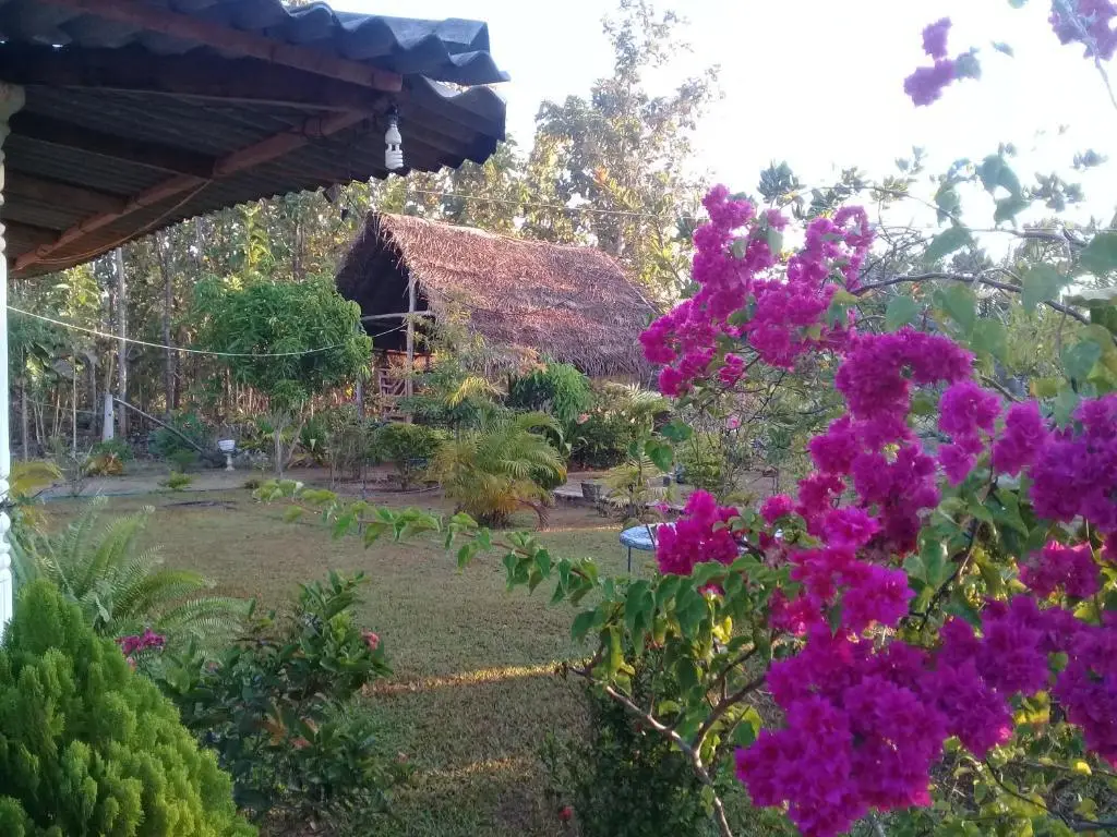 Анурадхапура: Village Garden Inn