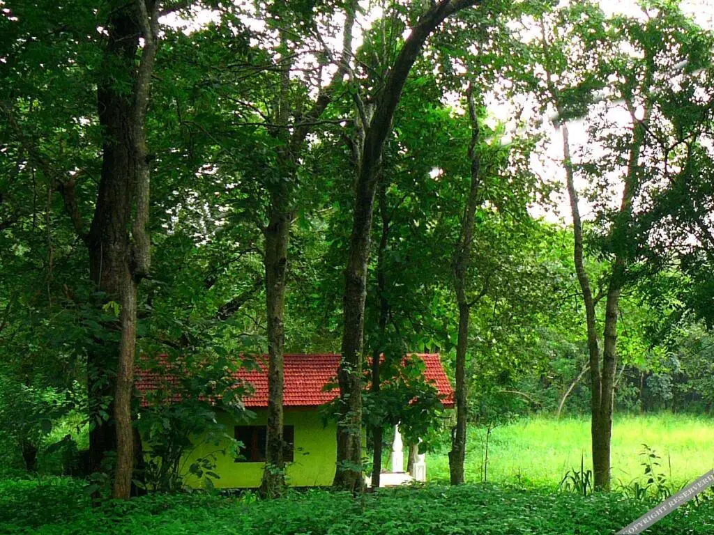 Хабарана: Teakvilla Hotel and Restaurant