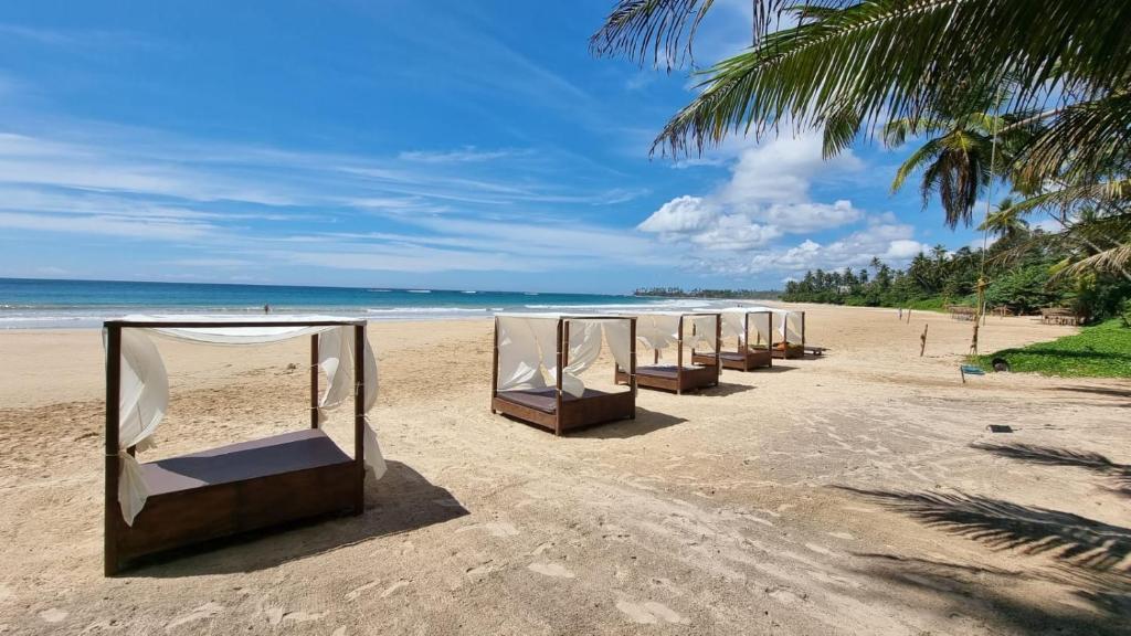 Диквелла: Dickwella Beach