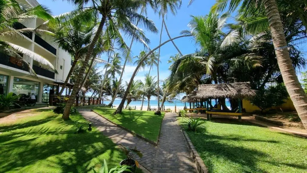 Диквелла: Dickwella Beach