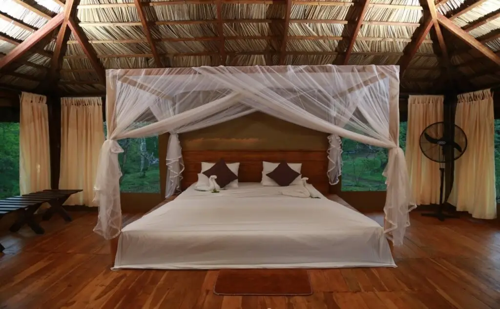 Катарагама: Yala Safari Camping