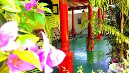 Таларамба: Sohoyuro Guest House