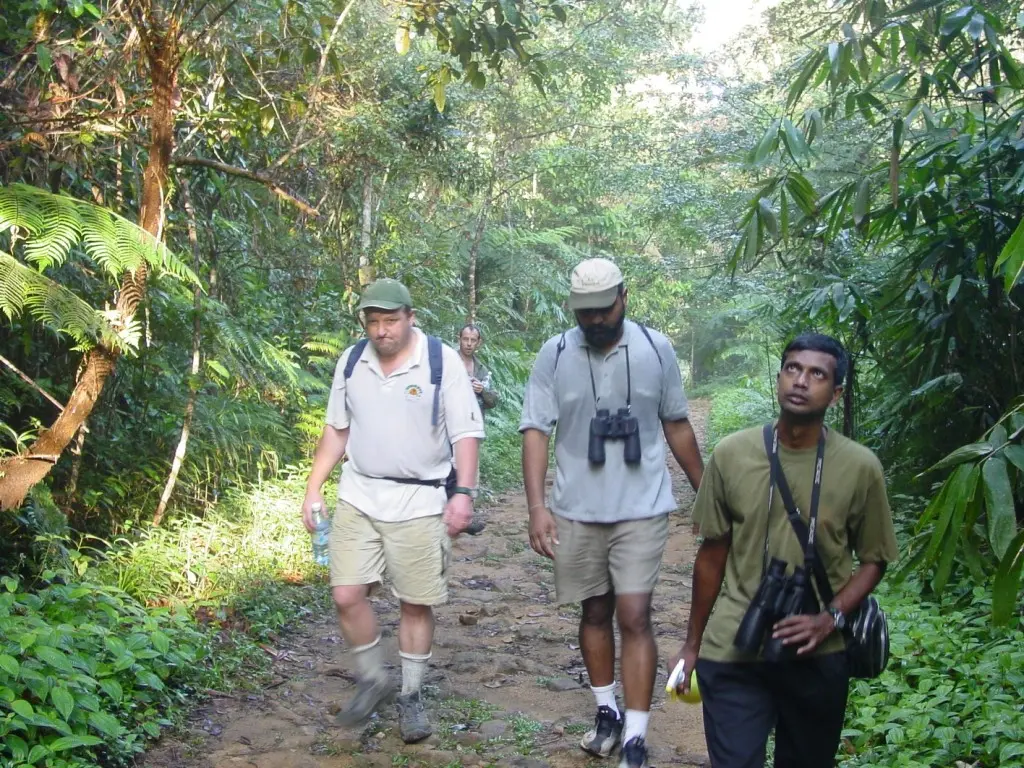 Ратнапура: Explorer by Eco team - Sinharaja