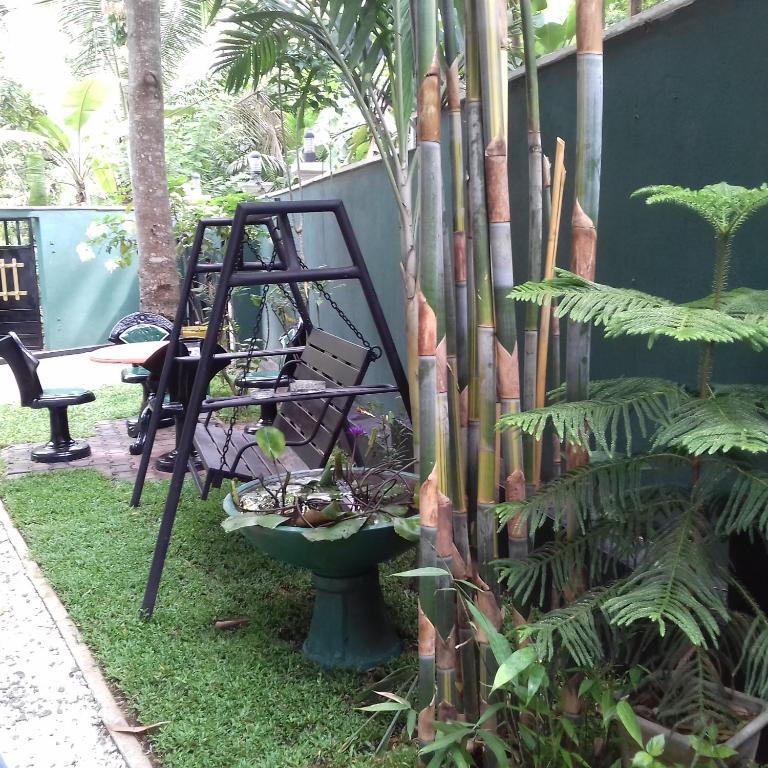 Rainbow Guest House — фото 1