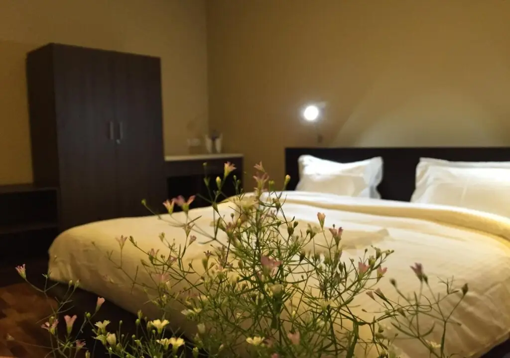Нувара-Элия: Panorama Green View Hotel