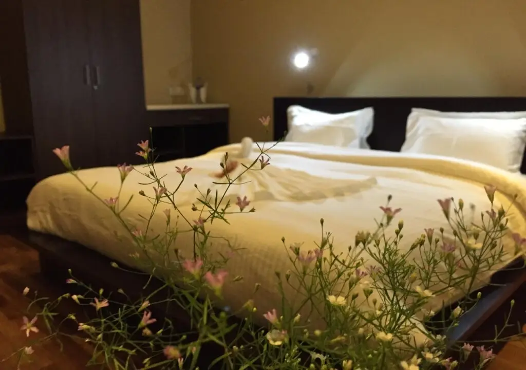 Нувара-Элия: Panorama Green View Hotel