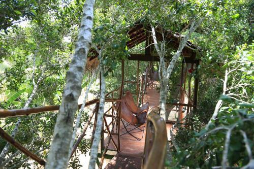 Тиссамахарама: Yala Luxury Tree House