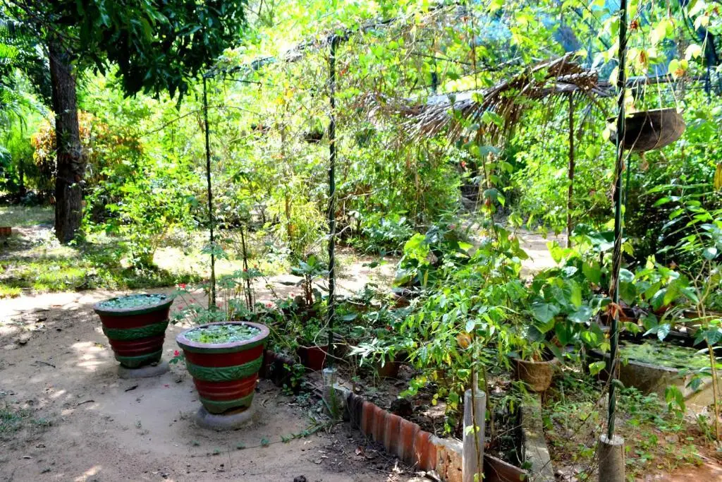 Инамальюва: Sigiriya Freedom Lodge