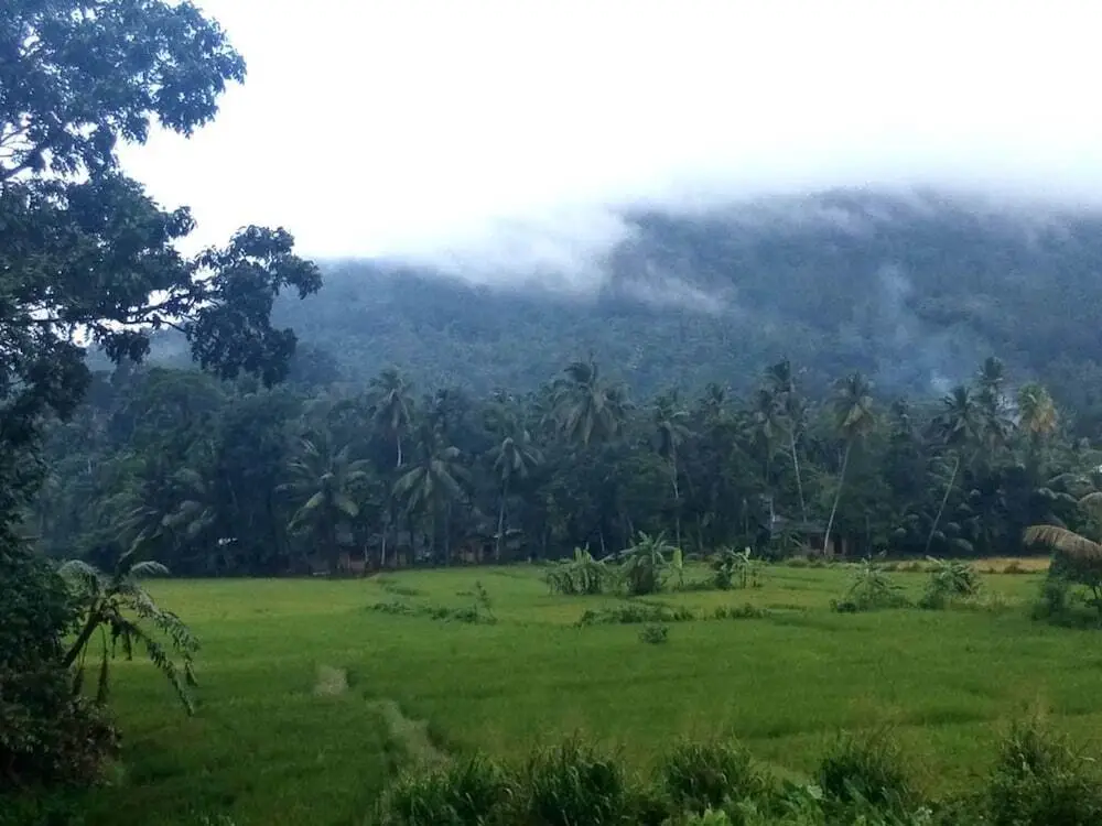 Sinharaja Green View — фото 1