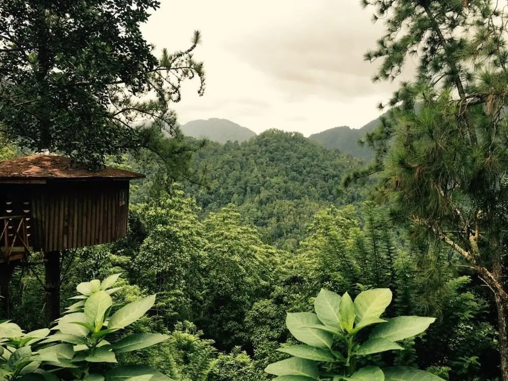 Гинигатена: The Tree House