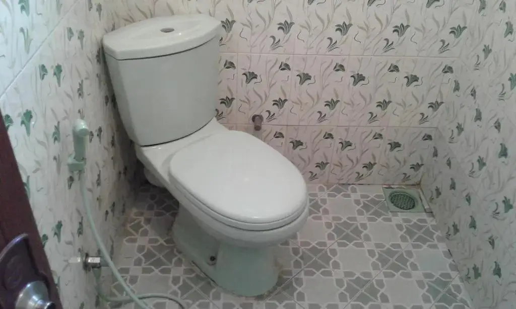 Нувара-Элия: Cool Mount Guest