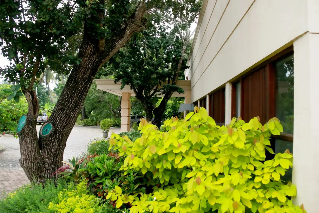 Хамбантота: Отель Jade Green Hambantota