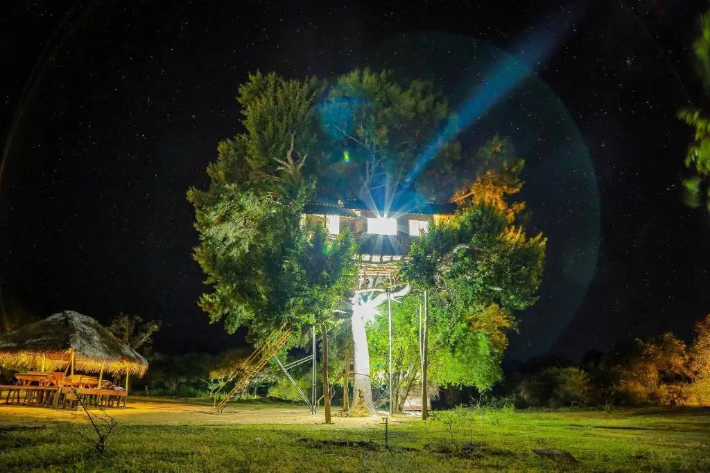 Палатупана: Yala Dream Park
