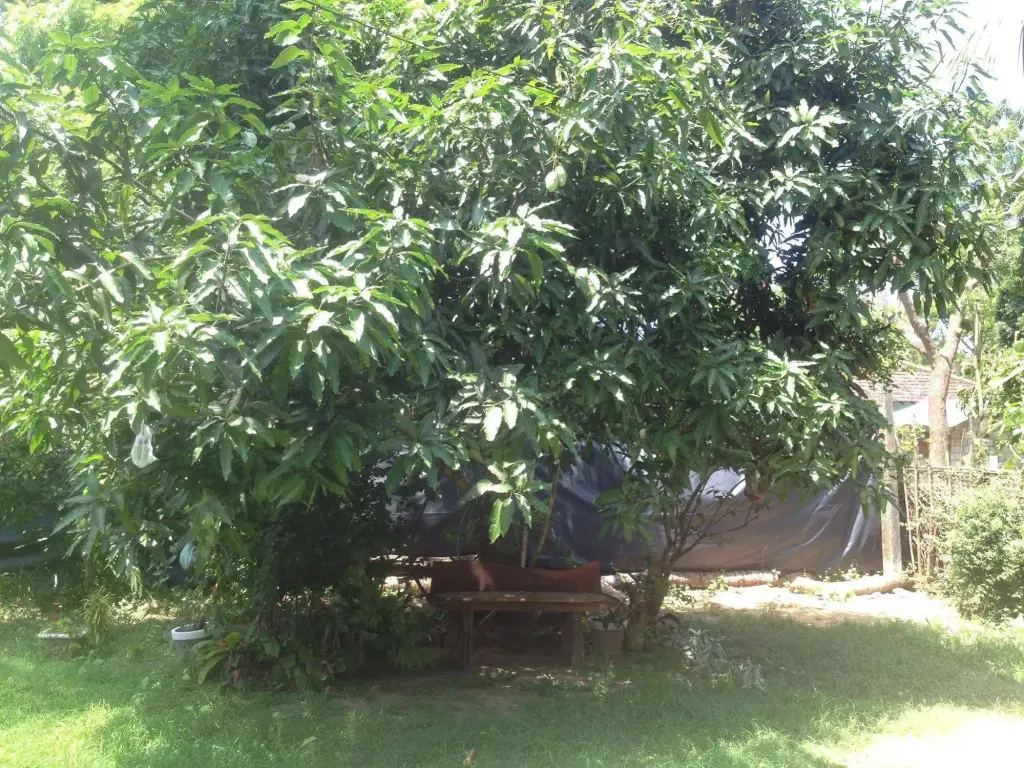 Тангалла: Home Feel Home stay