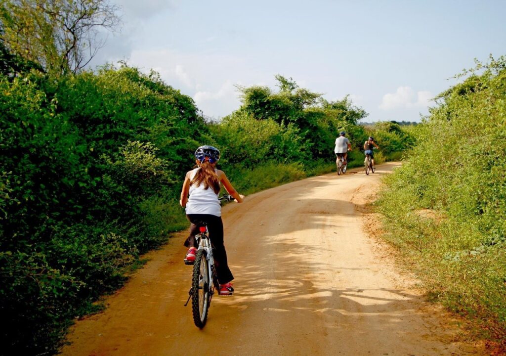 The Yala Camping — фото 1