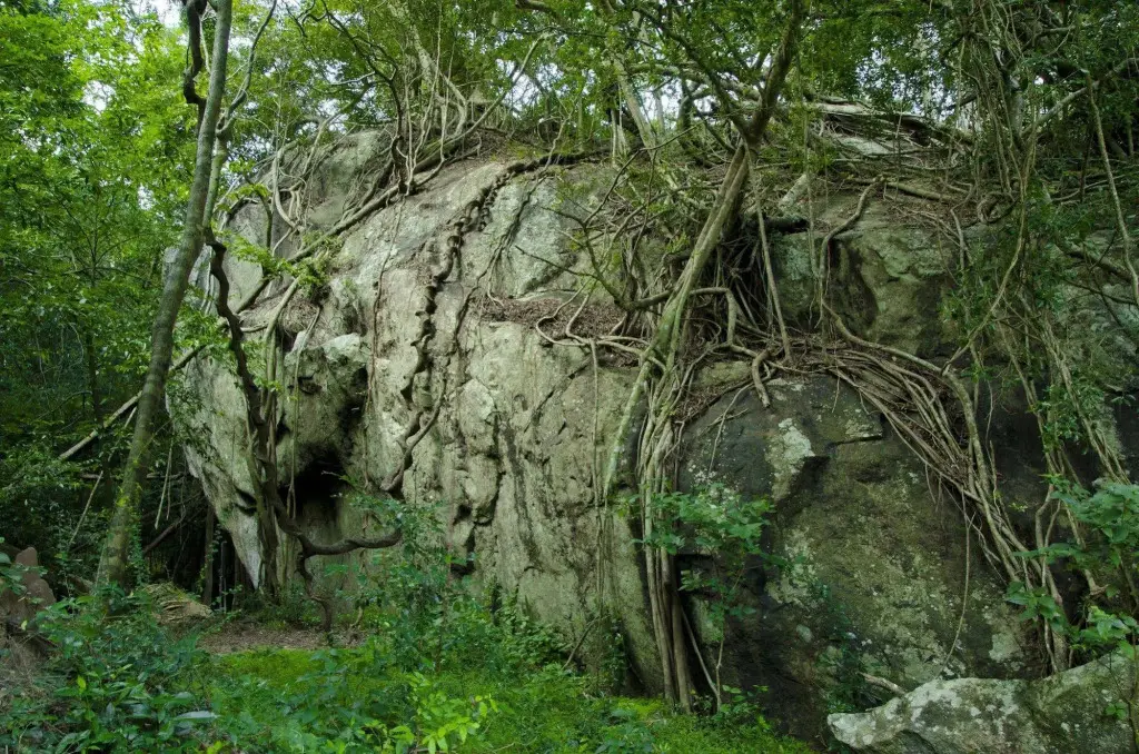 Кандалама: The Green Paradise Resort