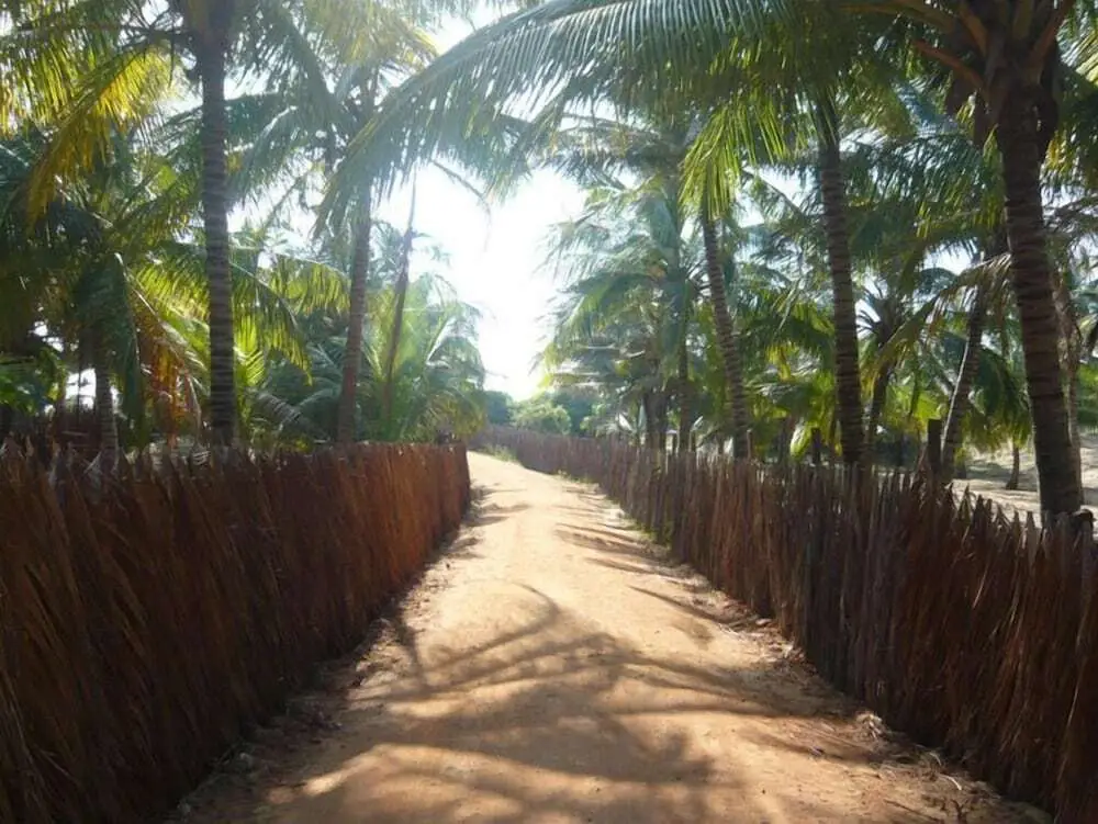 Койявади: Alankuda Beach Resort