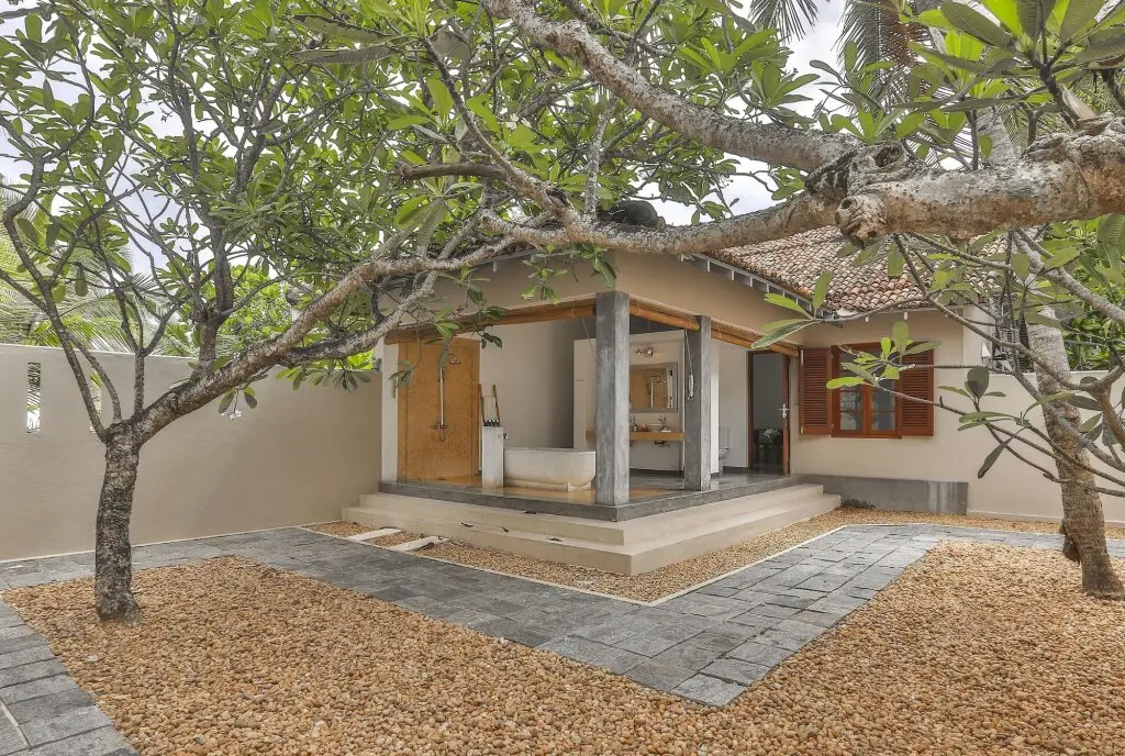 Тальпе: The Frangipani Tree By Edwards Collection