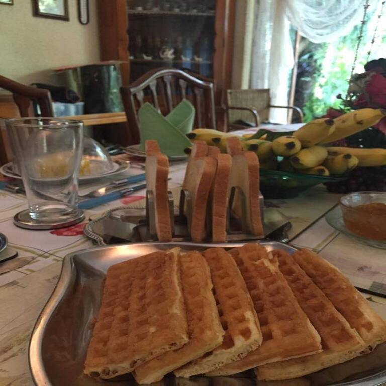 Коломбо: Vista Garden Guest House