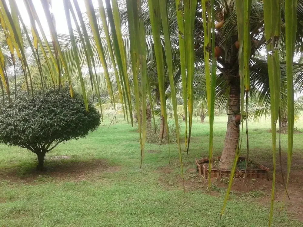 Дамбулла: Suwanila Rest