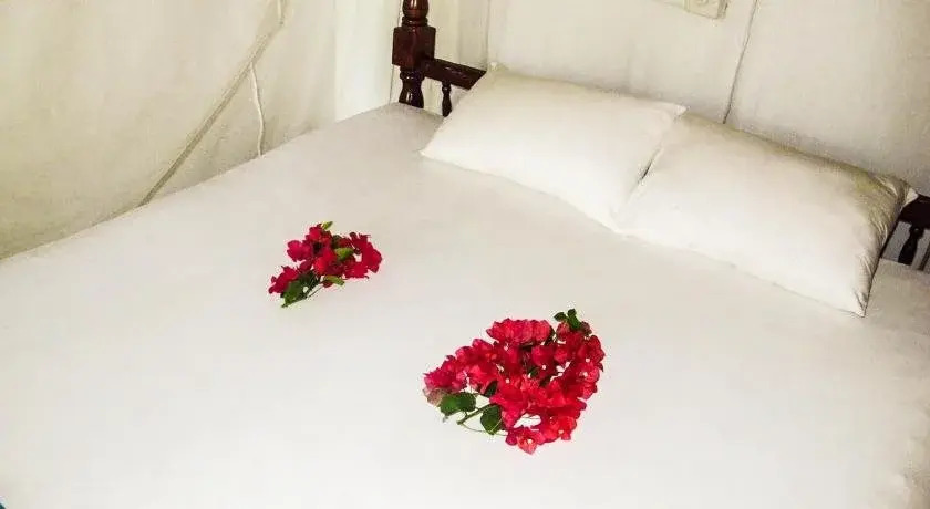 Бентота: C-Lanka Family Guesthouse