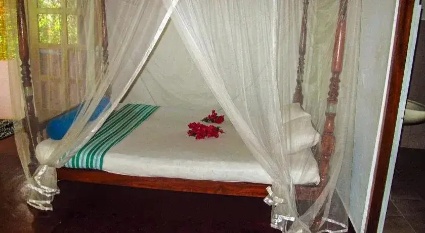 Бентота: C-Lanka Family Guesthouse