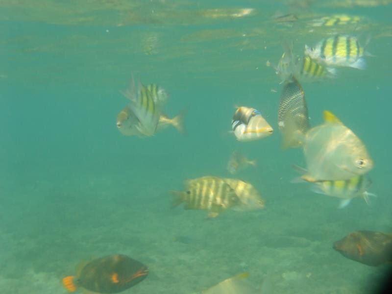 Хиккадува: Coral Front Inn