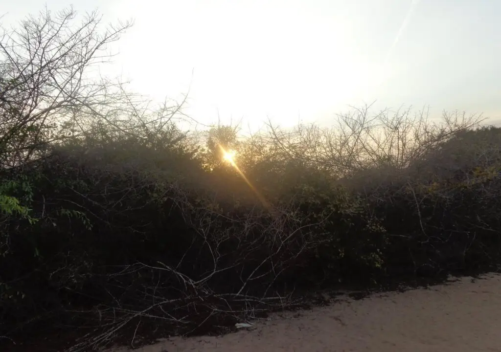 Киринда: Yala Bear Safari Camp Tents