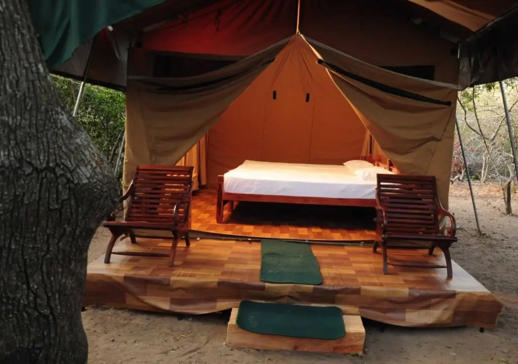 Киринда: Yala Bear Safari Camp Tents