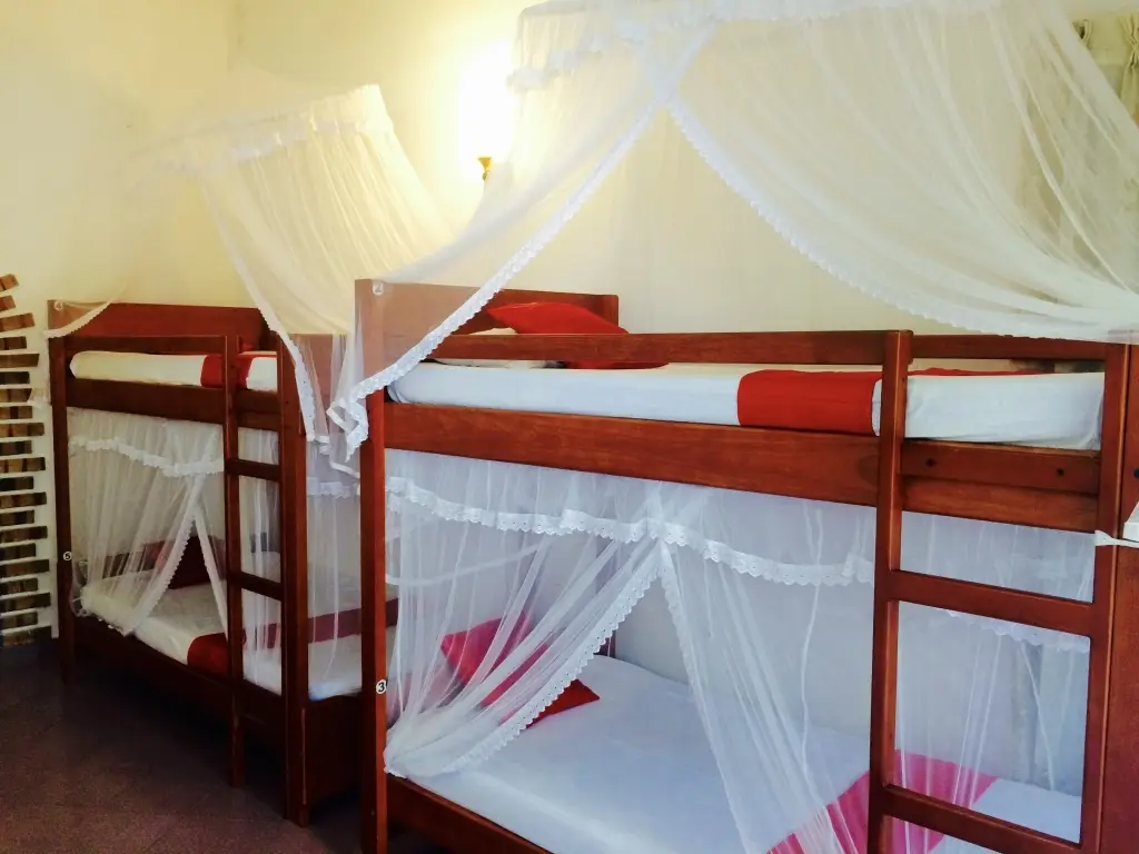 Гора Lavinia: Lavinia Beach Hostel