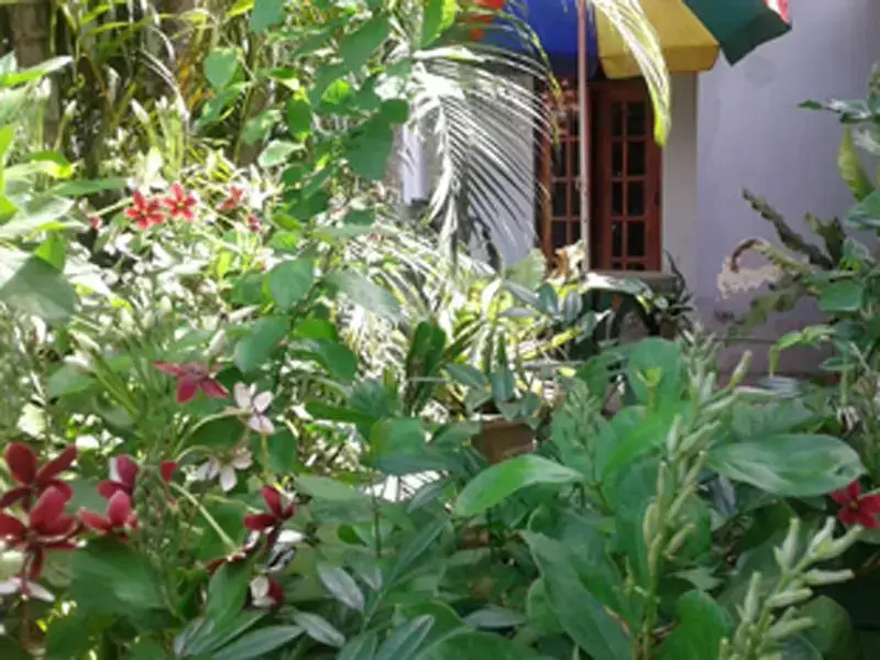 Дамбулла: Samans Guest House
