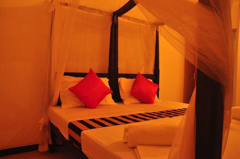 Хиккадува: White Horse Guesthouse