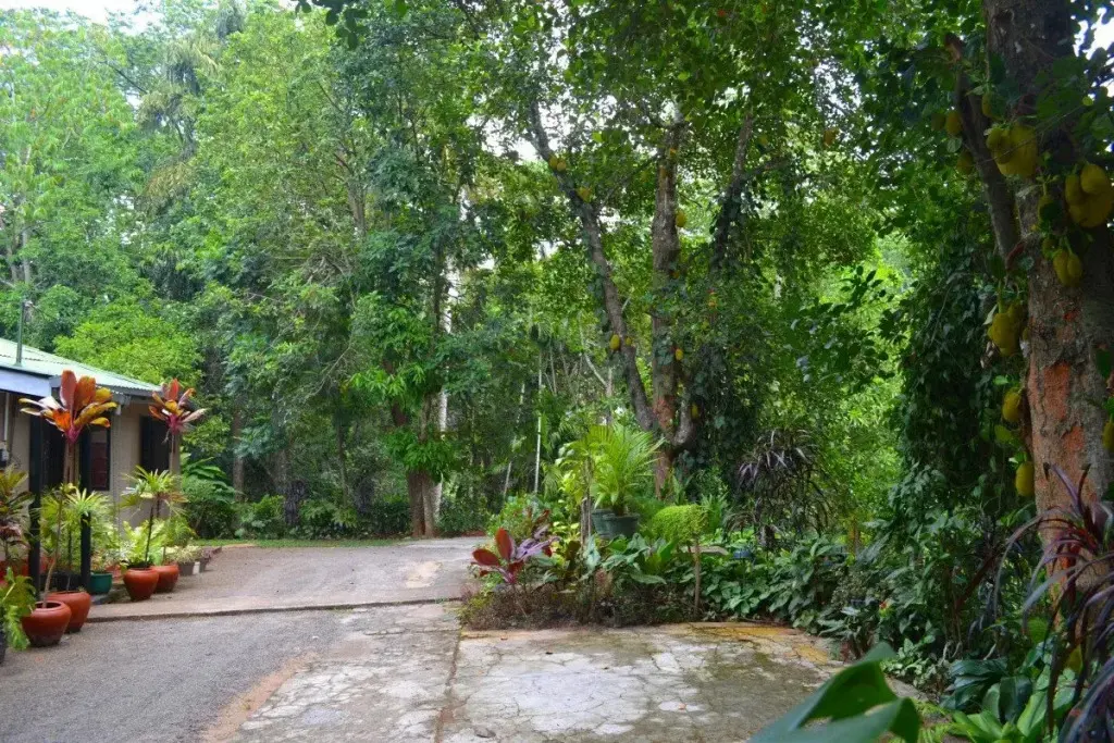 Канди: Ivy Banks Anniewatte Guest House